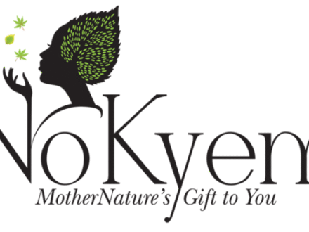 cms1_NoKyem-Naturals-Logo_img01-1024x1024-1-1
